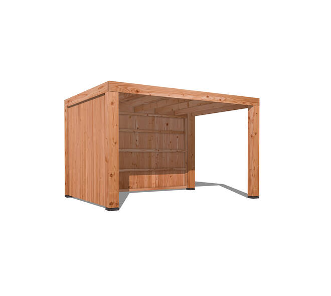 Douglas Overkapping Strak 3x4m. | Type 24 01